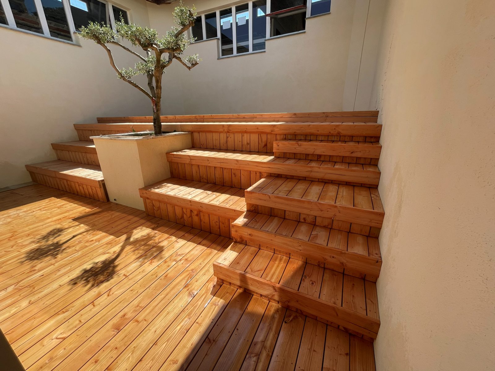 Terrasse en gradins bois autour d'un olivier en jardinière — CREPS d'Aix-en-Provence